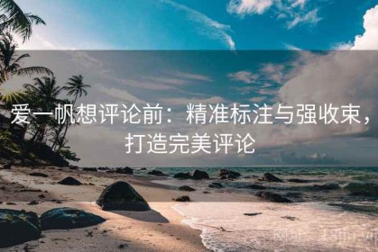 爱一帆想评论前：精准标注与强收束，打造完美评论