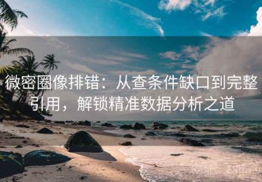 微密圈像排错：从查条件缺口到完整引用，解锁精准数据分析之道