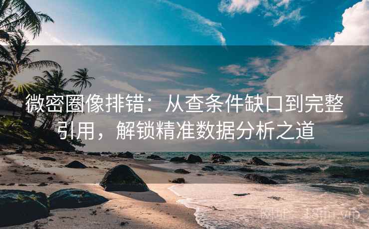 微密圈像排错：从查条件缺口到完整引用，解锁精准数据分析之道