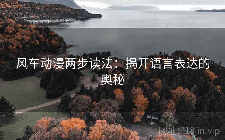 风车动漫两步读法：揭开语言表达的奥秘